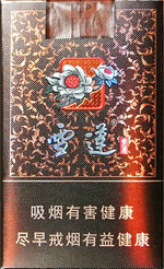 金桥（天际传奇）